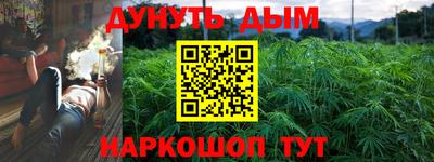 сатива Севастополь