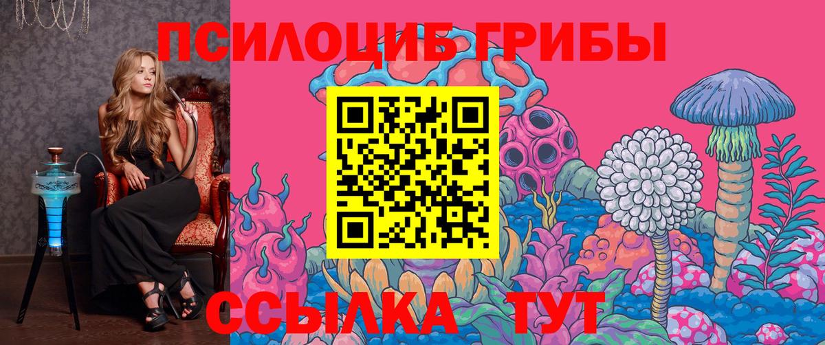 Галлюциногенные грибы Cubensis Рузаевка
