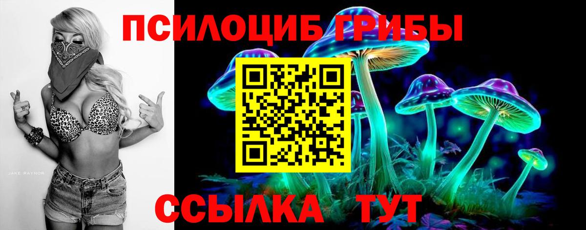 Рузаевка  Галлюциногенные грибы GOLDEN TEACHER  Вход с VPN 